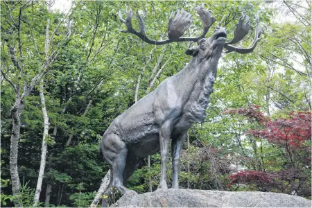  ?? KEITH GOSSE THE TELEGRAM ?? The caribou statue at the Royal Newfoundla­nd Regiment monument at Bowring Park in St. John’s.