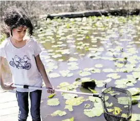  ?? Mayra Beltran / Houston Chronicle ?? Leiza Coleman, 7, inspects a pond at the Houston Arboretum &amp; Nature Center.