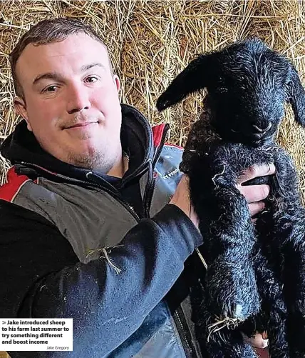  ?? Jake Gregory ?? > Jake introduced sheep to his farm last summer to try something different and boost income