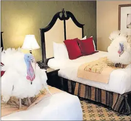  ?? [HANNAH MACINNIS/WHITE HOUSE] ?? Two turkeys set to be pardoned today by President Donald Trump are shown in their Washington hotel room Sunday, where they’ve stayed since being brought to Washington.