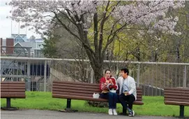  ??  ?? SCENIC SETTING: Maria Strac and her boyfriend Chang Zong of Boston enjoy lunch under some flower cherry blossoms on the grounds of Boston English High School on Sunday.