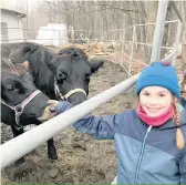 ??  ?? Abby Demers, neuf ans, dit qu’elle saura désormais reconnaîtr­e les vaches Canadienne­s.