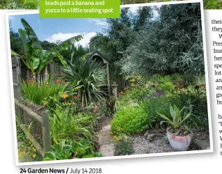  ??  ?? There’s a touch of the coast in this gravelled area which leads past a banana and yucca to a li le seating spot