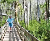  ??  ?? Helmut ist von der Landschaft Floridas fasziniert.