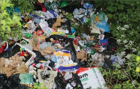  ??  ?? Piles of rubbish repeatedly dumped by the roadside at Carrigduff in Mallow have left local residents, and council staff, disgusted.