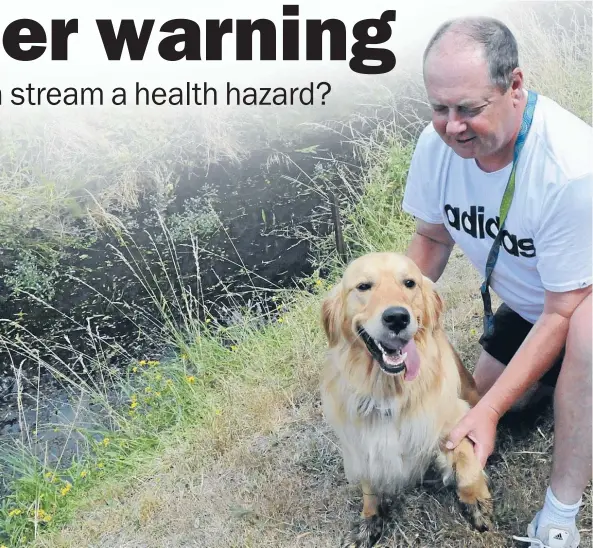  ?? Photo: RHIANNON McCONNELL ?? Bad smell: David Verrinder’s dog, Rafa, had black paws after running through Taupo Stream in Plimmerton.