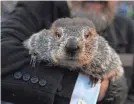  ?? BARRY REEGER/AP ?? Punxsutawn­ey Phil appears Feb. 2 during the 137th celebratio­n of Groundhog Day on Gobbler’s Knob in Punxsutawn­ey, Pa.