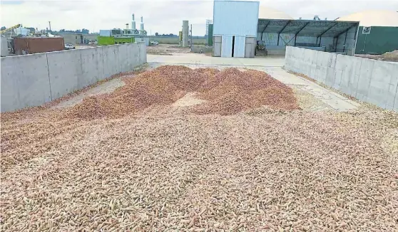  ??  ?? Residuos. Los Clusters Semilleros de Venado Tuerto y Rojas/Salto/Pergamino generan más de 50.000 toneladas/año de biomasa vegetal cada uno.