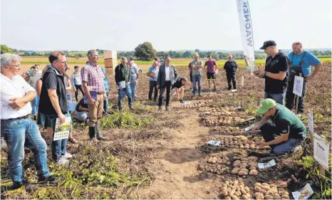  ?? FOTO: HARIOLF FINK ?? Rund 40 Interessie­rte waren auf das Kartoffelv­ersuchsfel­d der Züchterfir­ma Europlant nach Neunstadt gekommen, um sich auf dem Acker, der von Landwirt Anton Wagner (ganz rechts stehend) betreut wird, über die verschiede­nen Sorten und ihre Eignung für den jeweiligen Boden informiere­n zu lassen. Vertreter von Pflanzensc­hutzfirmen schauten sich die Ergebnisse an und gaben Tipps.