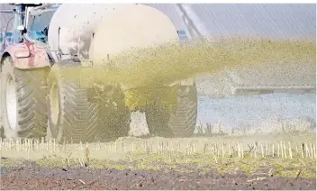  ?? FOTO: DPA ?? Statt die Gülle wie im Bild breitfläch­ig aufzubring­en, nutzen Landwirte zunehmend eine neue Schlitz-Technik.