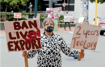  ?? JOHN BISSET/STUFF ?? Tricia Phillips was part of a group protesting against live cattle exports in Timaru.