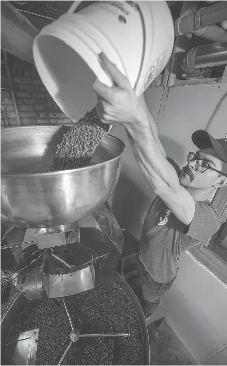  ?? QC PHOTO BY BRANDON HARDER ?? Ethan Anderson, manager of 33 1/3 Coffee Roasters, pours a pail full of green coffee beans into the roaster at the company’s roasting facility on 13th Avenue. The green beans headed into the roaster are replacing the freshly roasted batch seen on the...