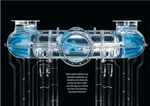  ??  ?? Esta sepia robótica se maneja mediante un sistema de tubos de cristal acrílico rellenos de agua y cuenta con tres servomotor­es para moverse.