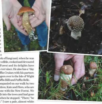  ??  ?? Clockwise from above: the ceps or penny bun; the brown birch bolete; and the toxic fly agaric