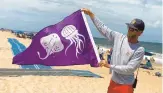  ?? JEFF HAMPTON/STAFF ?? Ben Battaile, assistant supervisor of Kill Devil Hills Ocean Rescue, holds a flag used to warn swimmers of hazardous marine animals.