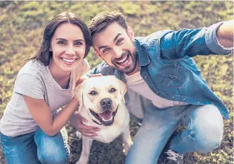  ?? ISTOCK ?? Las mascotas favoritas son gatos y perros que suelen ser considerad­as miembros de la familia.