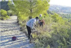  ??  ?? MIRA
Una intervenci­ón de repoblació­n reciente en la ermita de Sant Antoni. ((