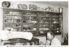  ??  ?? Dad’s bone in picture taken in 1943. Rock cases are in now Janie’s Good Old Days Museum Monrovia CA. Look closely at Karl George varnishing his large ammonite.