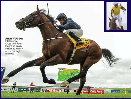  ??  ?? AWAY YOU GO: Intelligen­ce Cross with Ryan Moore up (main) strides to victory at the Curragh recently