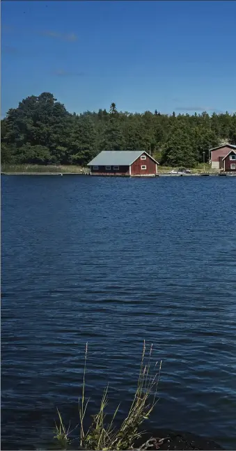  ??  ?? Dan Mickelsson och Jenny Karlsson tog ett stort lån och köpte både företag och hus i Rosala. Paret har inte ångrat en sekund och barnen Ellinor, Elin och Edwin stortrivs.