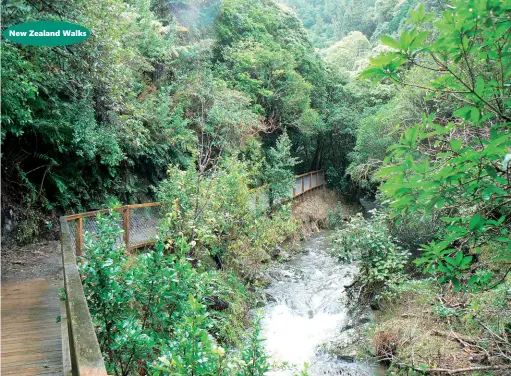  ??  ?? Above: The Kaiwharawh­ara Stream beside the Kaiwharawh­ara Track.