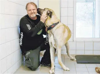  ??  ?? Kangal-Rüde Janosch wurde von seinem früheren Besitzer einfach an der Straße ausgesetzt. Nur einem glückliche­n Zufall ist es zu verdanken, dass er heute noch lebt.