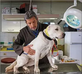  ??  ?? Michel Cymes endosse le rôle de vétérinair­e pour la première fois.