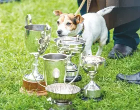  ??  ?? Nigel Peel’s terrier, Africa, guards the North Cotswold’s trophy stash