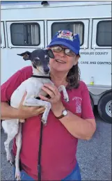  ?? (Courtesy: Clare Storey) ?? Clare Storey, volunteer at Castaic Animal Care Center, with Bruin. The 10-year-old rat terrier mix was the 20,000th shelter pet transporte­d by the non-profit Wings of Rescue on July 11.