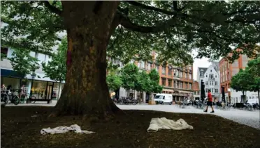  ??  ?? Det store trae på Klostertor­v i Aarhus er et yndet sted at overnatte for byens hjemløse. Nu får de fire steder i midtbyen, hvor de kan ryge, drikke og sove i fred.