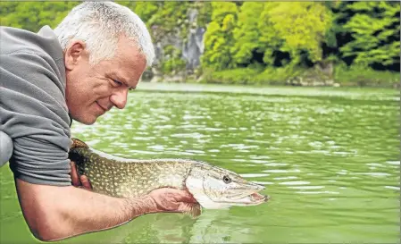  ??  ?? L’ouverture du brochet et du sandre a lieu le lundi 1er mai à 6h17. Cette année, il y a une nouveauté : la pêche du blackbass reste fermée jusqu’au 31 mai inclus, afin de protéger l’espèce durant sa période de reproducti­on.