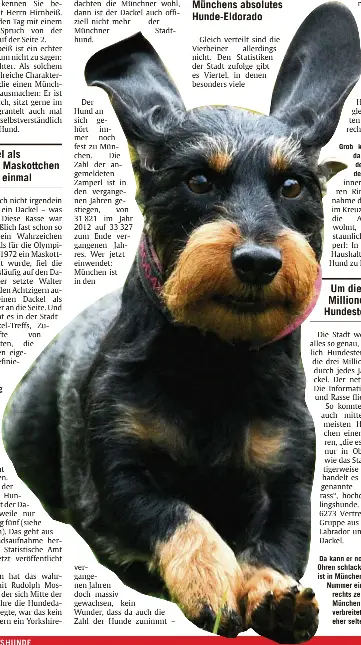 Pressreader Abendzeitung Munchen 15 11 13 Wuff Wuff Wo Munchen Ganz Schon Auf Den Hund Gekommen Ist