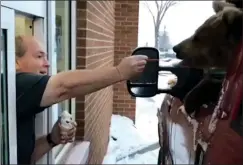  ?? THE CANADIAN PRESS/HO-FACEBOOK-DISCOVERY WILDLIFE PARK ?? A Kodiak bear is fed ice cream in a Dairy Queen drive-thru in a screengrab from a video posted to Facebook by the Discovery Wildlife Park.