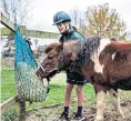  ??  ?? Mary tending to York House’s Welsh pony