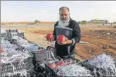  ?? AFP ?? ■ Syrian vendor Abu Alaa waits for customers at the recently reopened Nassib border post.