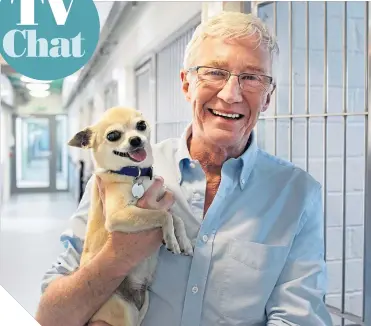  ??  ?? ●
Paul meets Pumpkin the Chihuahua at Battersea Dogs and Cats Home