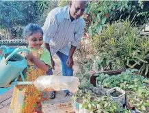  ?? | DUNCAN GUY ?? UNDER the watchful eye of Johnny Munien, his granddaugh­ter Laranya Maharaj waters seedlings from a watering can with a spout made from a recycled cooldrink bottle.