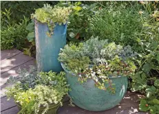  ?? ?? CLOCKWISE FROM LEFT Metal containers are sturdy and give the patio a modern feel; glazed ceramic pots retain moisture well; terracotta pots let roots breathe; a mix of pot sizes add depth to a display