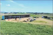  ??  ?? There are implement/calf rearing sheds and a 50-bail rotary milking shed.