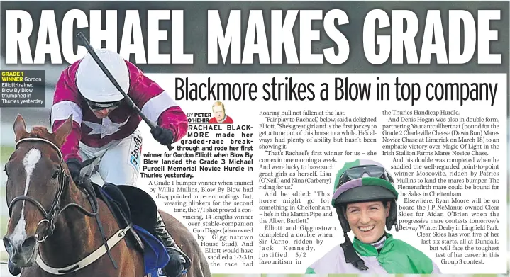  ??  ?? GRADE 1 WINNER Gordon Elliott-trained Blow By Blow triumphed in Thurles yesterday