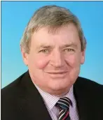  ??  ?? Cllr Gerard Murphy (FG).