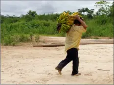  ?? LUKE’S HEALTH SYSTEM KANSAS CITY VIA AP ?? A Tsimane man carries bananas in this undated photo.