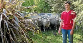  ??  ?? Christchur­ch schoolboy Angus Grant farms his own flock of sheep on the city outskirts.