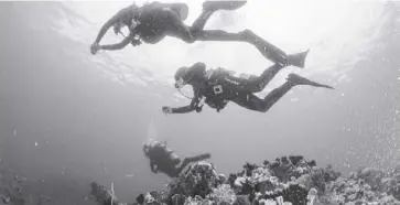  ?? ?? Divers marvel at the colorful corals under the sea off the coast of Puerto Galera, Oriental Mindoro in this undated photo.