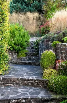 ??  ?? Decorative­ly paved stone steps lead to a terrace, with rosemary, mixed grasses and persicaria lining the way.