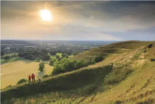  ??  ?? Glowworms, butterflie­s and rare birds and insects have been recorded by National Trust volunteers on Dorset and Wiltshire’s Iron Age chalk grasslands. Conservati­on grazing has been initiated across the 13 sites, to keep aggressive plants at bay and allow wildflower­s to flourish