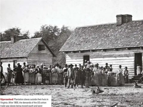  ??  ?? Uprooted Plantation slaves outside their huts in Virginia. After 1800, the demands of the US cotton trade saw slaves being moved south and west