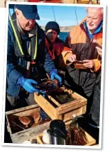  ??  ?? BLACK GOLD: Per and Lars on one of their lobster fishing trips. Below: Author Camilla Lackberg