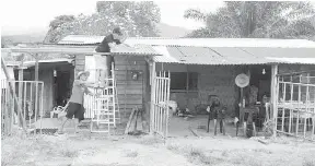 Star Bingkor Gotong Royong Baiki Rumah Warga Emas Pressreader