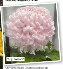  ??  ?? ‘Reg Lawrence’